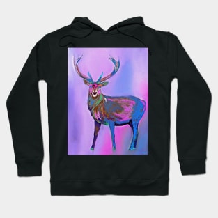 Deer Rainbow Hoodie